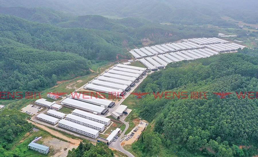 2021.11.16-今日猪价继续上涨，连续4天上涨；养猪连续2周盈利，预计短期仍有微利；温氏表示未来一段时间不会将楼房养猪作为主要发展方向，京基智农积极推进楼房养猪