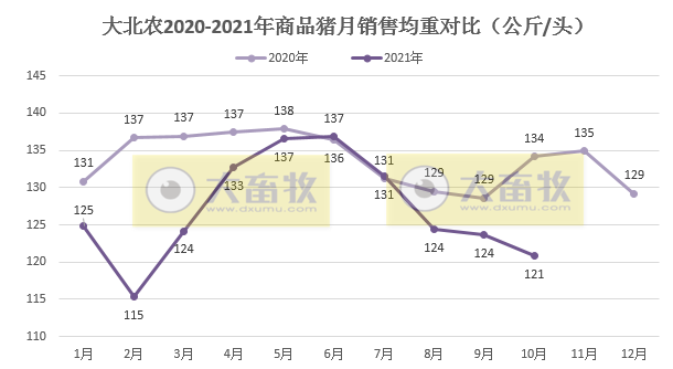 大北农:10月生猪销量和价格环比均上涨,能繁母猪存栏与最高相比减少三分之一