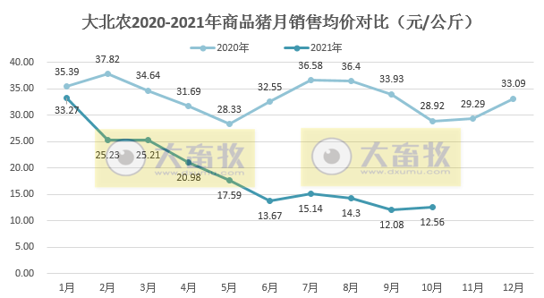 大北农:10月生猪销量和价格环比均上涨,能繁母猪存栏与最高相比减少三分之一