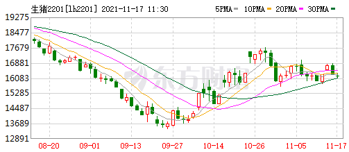 2021.11.17-今日猪价部分省份下调,仔猪价格连涨4周豆粕连跌5周,猪饲料产量已超亿吨同增50%,上市猪企的成本PK
