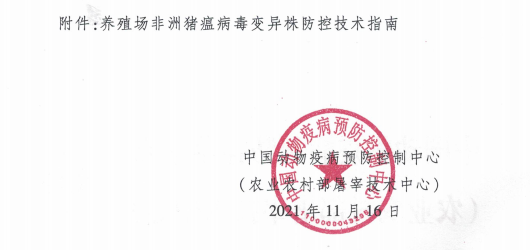 官方发布最新《养殖场非洲猪瘟病毒变异株防控技术指南》