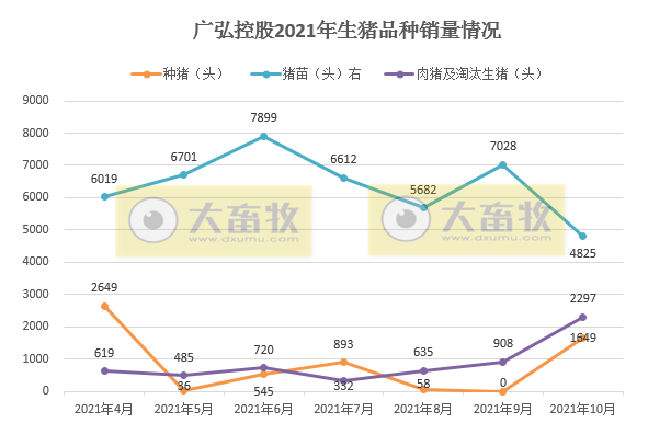 广弘控股：猪价持续下跌7个月，10月猪苗销量环比下降31%，肉猪销量快速增长，psy在26左右