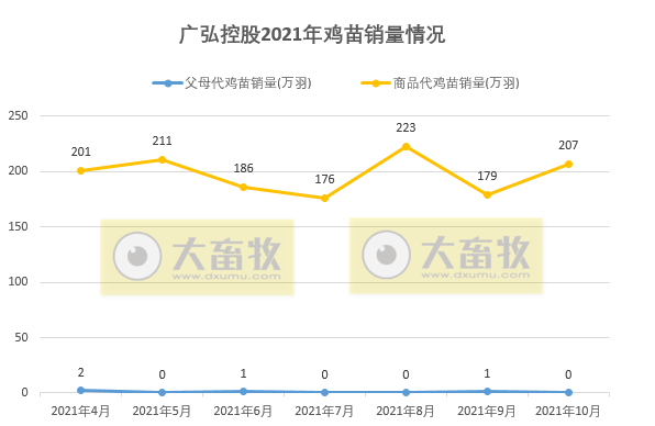 广弘控股：10月鸡苗销售207万羽环比增长15%，均价环降17%同涨16%