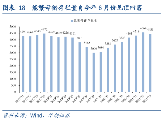 2021.11.19-今日猪价继续下跌，明年4-5月生猪出栏将达到高峰，猪价或将跌至新低谷；正邦得到中行100亿授信助力养猪业；祝贺畜牧业两位专家当选中国工程院院士！