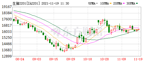 2021.11.19-今日猪价继续下跌，明年4-5月生猪出栏将达到高峰，猪价或将跌至新低谷；正邦得到中行100亿授信助力养猪业；祝贺畜牧业两位专家当选中国工程院院士！