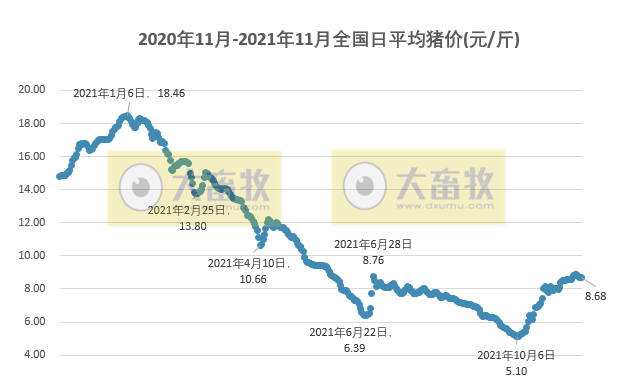 2021.11.20-今日猪价全国多地平稳,西南下跌,猪肉价格连续上涨6周,天邦上半年经营冒进行为原来是这样的