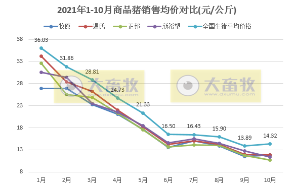 14家上市猪企2021年10月生猪销售业绩PK