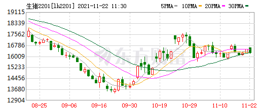 2021.11.22-今日猪价继续上涨，最高9.7元，10月猪肉进口量同环比均下跌，牧原、温氏、正邦和新希望的养猪成本现在降至多少呢？
