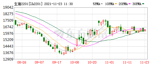 2021.11.23-今日猪价继续上涨，养猪连续3周盈利幅度扩大，最新百强猪企名单出炉，大北农动保有大动作邀您见证