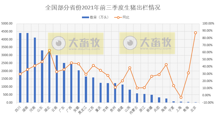全国各省2021年前三季度生猪数据汇总