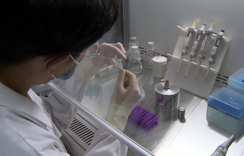 养鸡养猪不再费粮了，国际上首次实现从一氧化碳到蛋白质的合成，并已经形成万吨级的工业生产能力