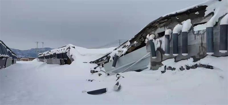 因暴雪辽宁省受灾养殖场（户）1.16万个，直接经济损失17亿元以上