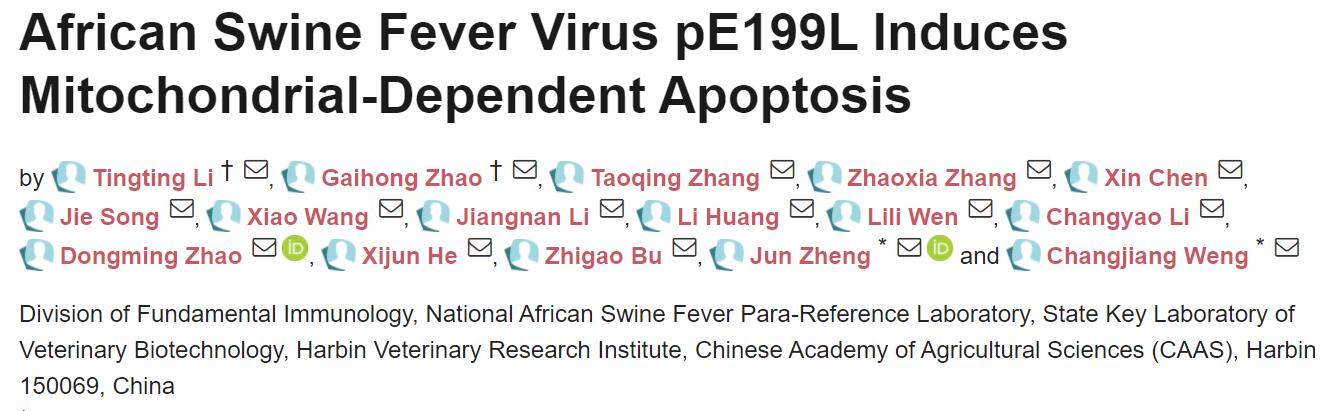 哈兽研发现非洲猪瘟新的诱导细胞凋亡基因