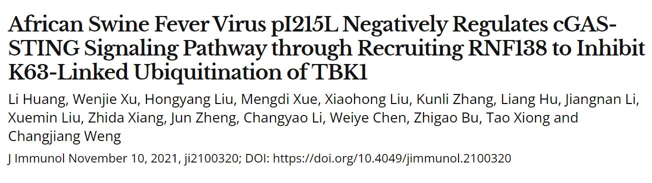 哈兽研揭示非洲猪瘟病毒免疫逃逸新机制