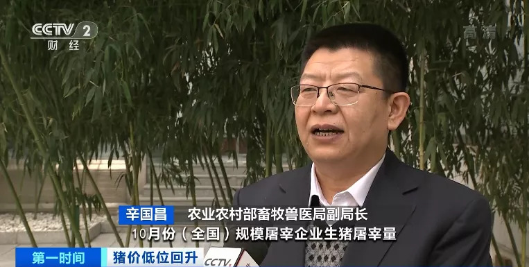 猪肉价格涨近30%！还会继续涨吗？农业农村部释放重要信号