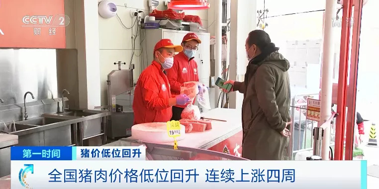 猪肉价格涨近30%！还会继续涨吗？农业农村部释放重要信号