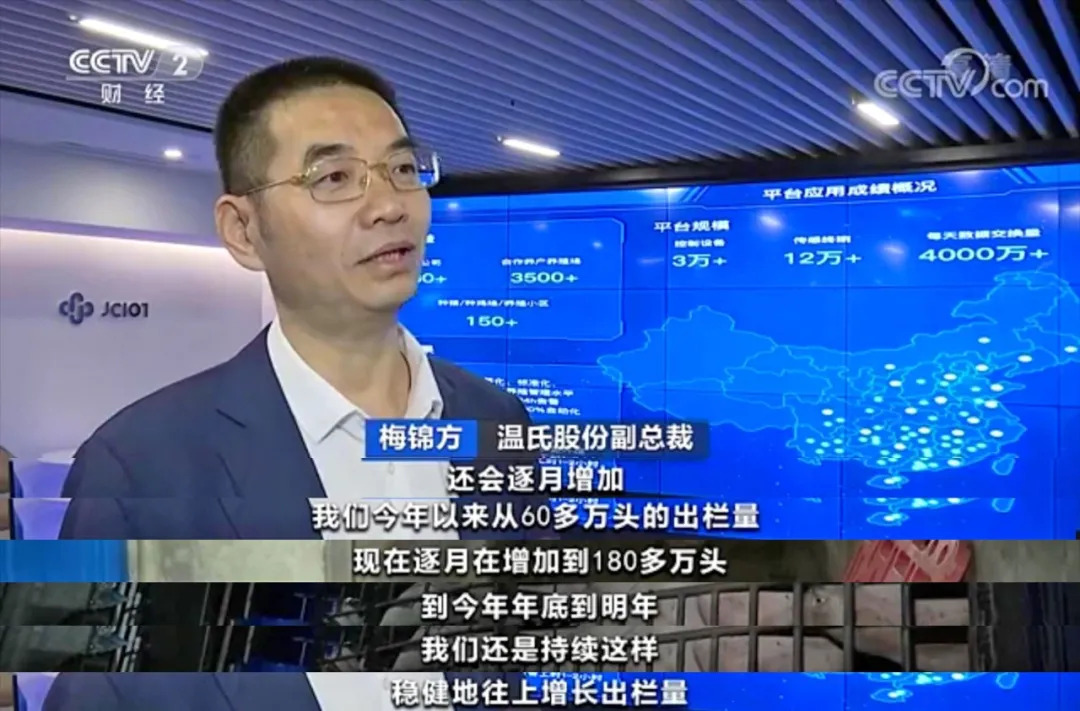 央视保供稳价行动专题组走进温氏，生猪出栏量稳健上升