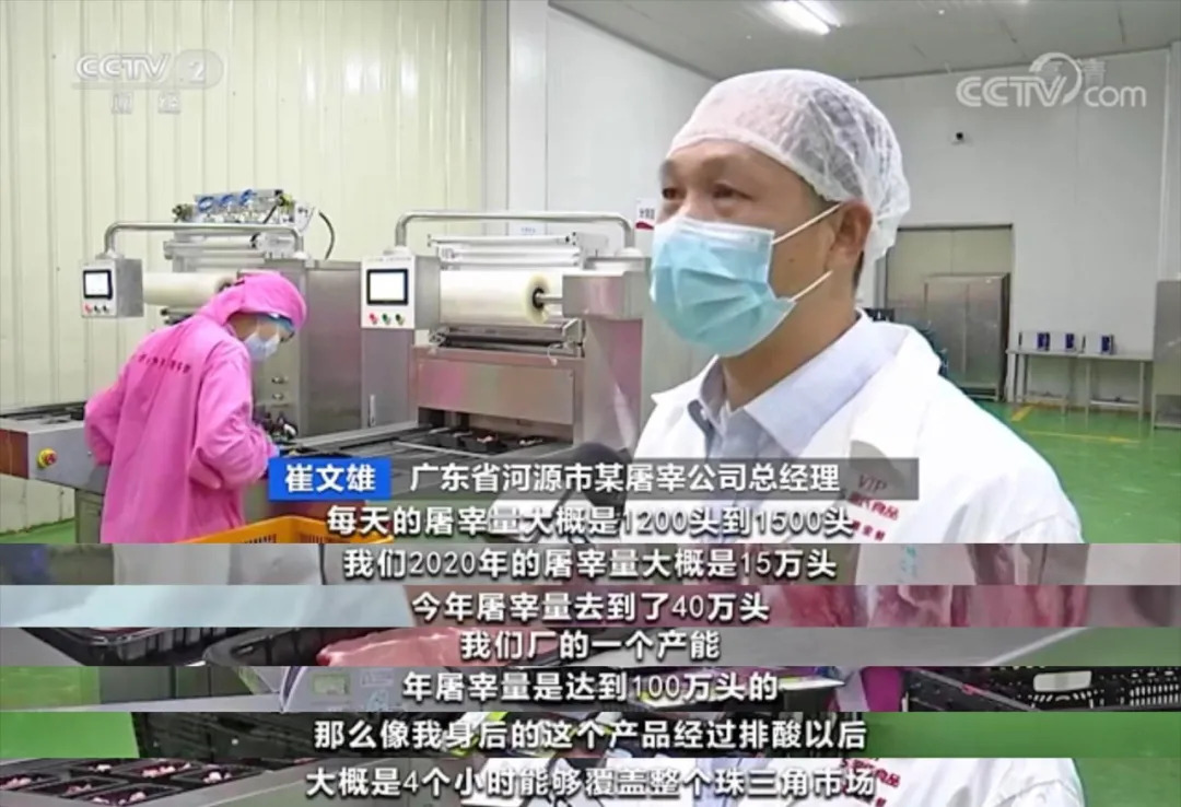 央视保供稳价行动专题组走进温氏，生猪出栏量稳健上升