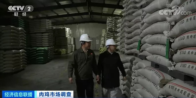 养一只鸡，亏2元？养殖户“始终在亏损”！加工企业或爆仓，有的已损失上千万元...