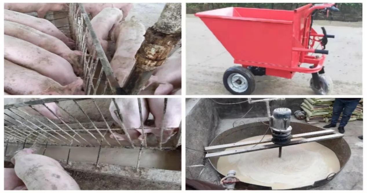 “网红”猪场的防非“密码”，参观者源源不断，遭到质疑——在此为你答疑解惑