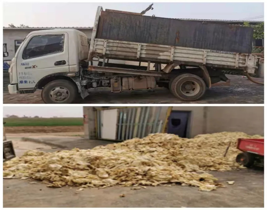 “网红”猪场的防非“密码”，参观者源源不断，遭到质疑——在此为你答疑解惑