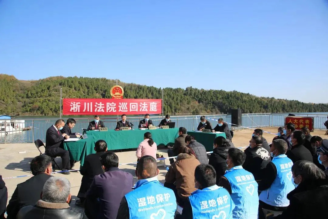 夫妻猎杀8头被判缓刑！野猪糟蹋庄稼，“100多亩玉米被吃得70多亩绝收”，多地暴发“野猪灾”，拿它们没办法了？