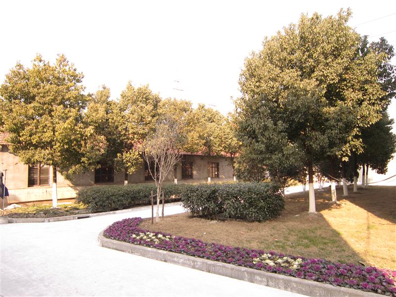 十年磨一剑完成“白”转“黑”——上海沙龙畜牧有限公司转型记