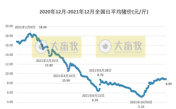 2021.12.5-今日猪价稳稳,什么时候出栏最佳?如何应对春节后消费淡季的来临?牧原又被质疑财务造假,唐人神头均价格环增52%