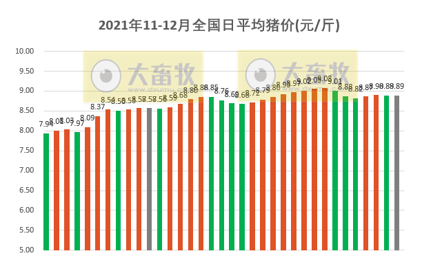 2021.12.5-今日猪价稳稳,什么时候出栏最佳?如何应对春节后消费淡季的来临?牧原又被质疑财务造假,唐人神头均价格环增52%