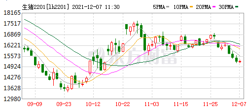 2021.12.7-今日猪价部分下跌，猪肉进口量下降会影响猪价吗？牧原回应旗下31家公司商票逾期，牧原11月生猪销量环比减少138万头
