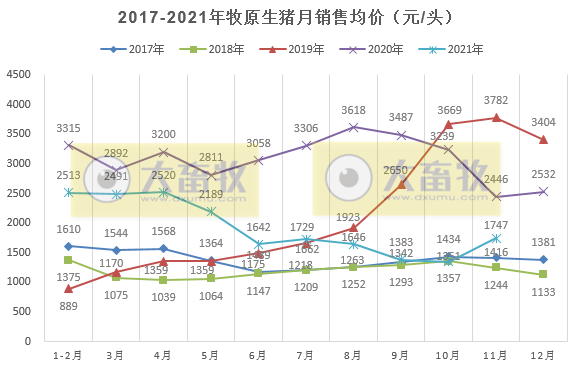 牧原股份：11月生猪销量环比减少138万头，下降26.32%，均价环增34%