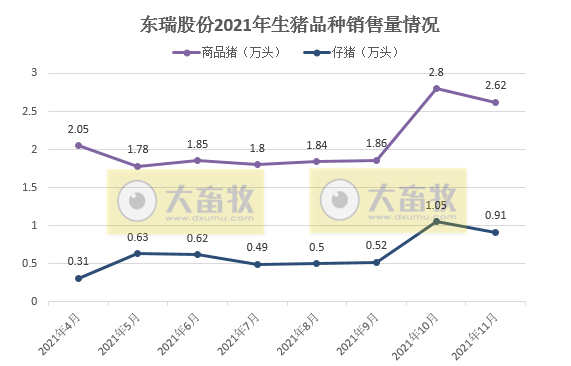 东瑞股份:11月生猪销量环比减少7%,均价环比增长18.5%,预计今年生猪出栏量36万头