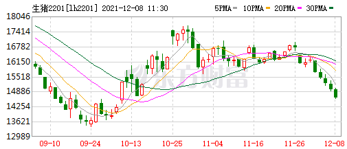 2021.12.8-今日猪价绿油油,近17天最低,因恐慌性集中抛售所致?仔猪价格连6周低于猪肉;温氏11月生猪销量约120万头减少62万头;生猪期货持续下跌5天
