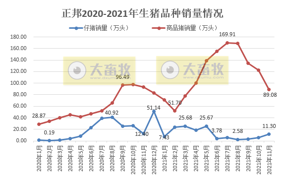 正邦科技：生猪销量和收入连续4个月下跌，11月仔猪销量环增87.4%，商品猪均重创新低