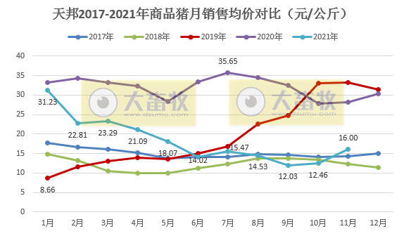 天邦股份：11月生猪销量再次刷新历史纪录，仔猪销量环比增长51%，收入突破10亿元
