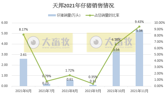 2021.12.10-今日猪价继续下跌，猪肉价格一度涨了40%？后续还会涨吗？正邦因清退租赁产能，短期成本仍会波动；天邦和大北农11月生猪数据出炉