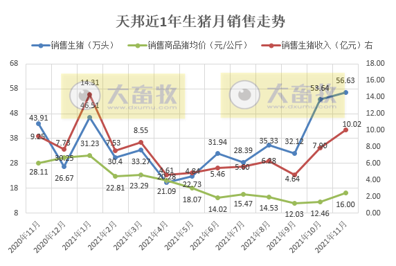 2021.12.10-今日猪价继续下跌，猪肉价格一度涨了40%？后续还会涨吗？正邦因清退租赁产能，短期成本仍会波动；天邦和大北农11月生猪数据出炉