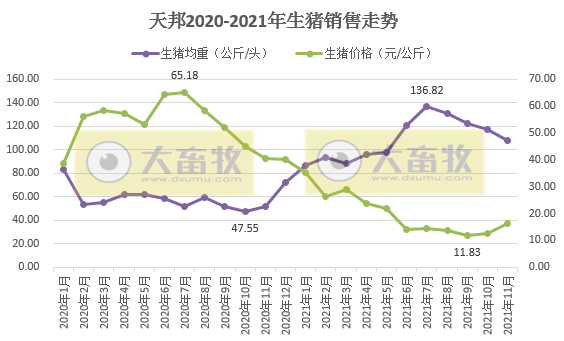 天邦股份：11月生猪销量再次刷新历史纪录，仔猪销量环比增长51%，收入突破10亿元