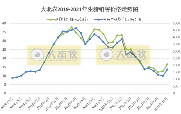  大北农：生猪销量连续4个月上涨，11月收入环比增长36%