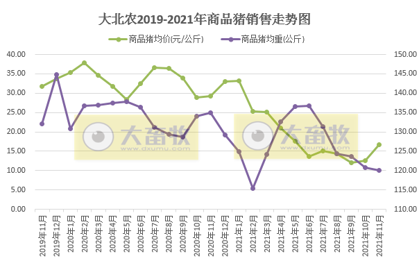  大北农：生猪销量连续4个月上涨，11月收入环比增长36%