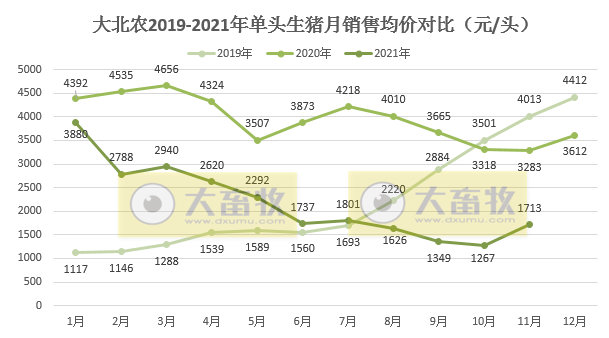  大北农：生猪销量连续4个月上涨，11月收入环比增长36%
