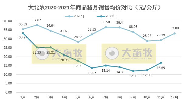  大北农：生猪销量连续4个月上涨，11月收入环比增长36%