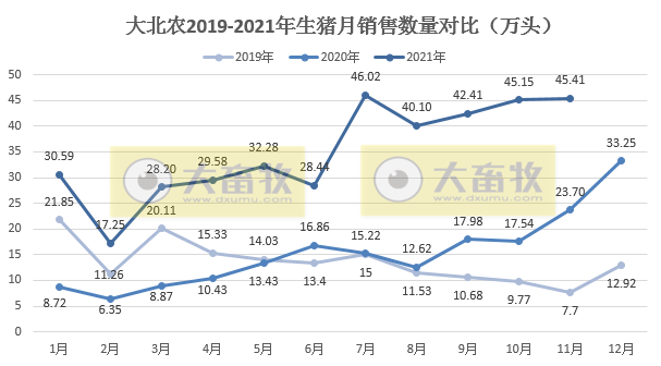  大北农：生猪销量连续4个月上涨，11月收入环比增长36%