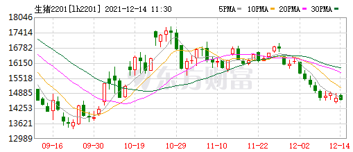 2021.12.14-今日猪价东北止跌反弹，广州种猪拍卖结果出炉，华统11月生猪销量同增55倍，海大拟使用9亿闲置募集资金暂补流动资金，日本发生猪瘟疫情