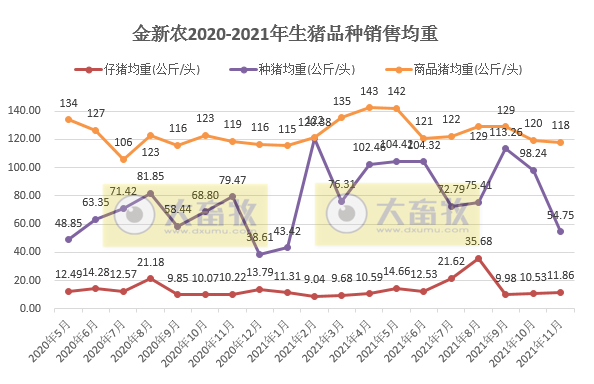 金新农：11月生猪销量环比下降3%，商品猪均价环比增长36%，种猪销售均重近10个月最低