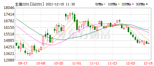 2021.12.15-今日猪价全国多地止跌反弹,仔猪价格连续8周上涨仍低于猪肉价格,广弘和唐人神有新项目上马,罗牛山11月生猪销量同增约250%