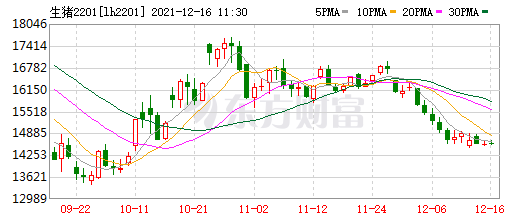 2021.12.16-今日猪价全国均价重回8元，11月猪饲料同环比均上涨，牧原评级被调整为负面下跌3.4%，2021年养猪业十件大事