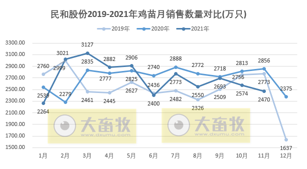 民和股份:11月鸡苗销量同环比均下降,因鸡苗价格上涨致收入环比上涨30%