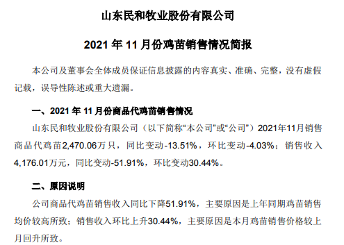 民和股份:11月鸡苗销量同环比均下降,因鸡苗价格上涨致收入环比上涨30%