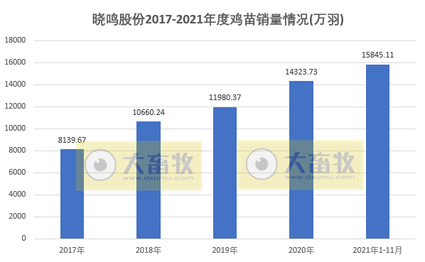 晓鸣股份：11月鸡苗销量同比增长54%，收入同比增长70%